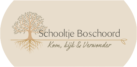 logo-schooltje-header.png